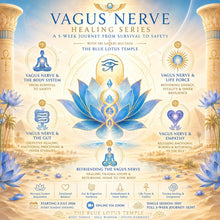 Load image into Gallery viewer, Vagus Nerve Healing Series
